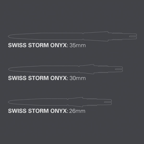 Groty-Target-Swiss-Points-Storm-Ony_[18837]_480.jpg