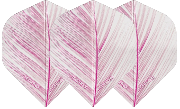 img-wwIOo8Gu-large.png