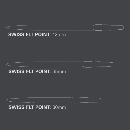 340410 SWISS FLT POINT - SILVER 30MM_PT03.jpg