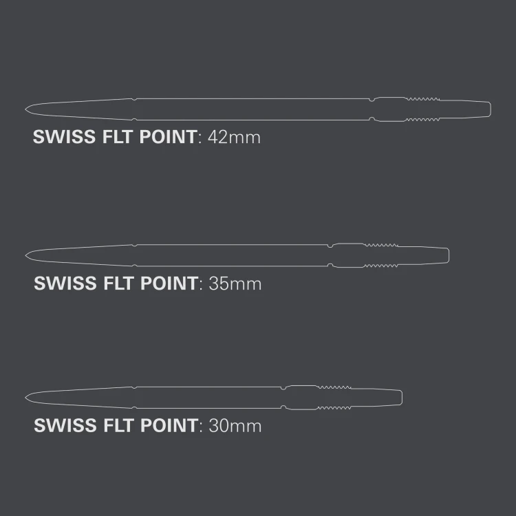 340410 SWISS FLT POINT - SILVER 30MM_PT03.jpg